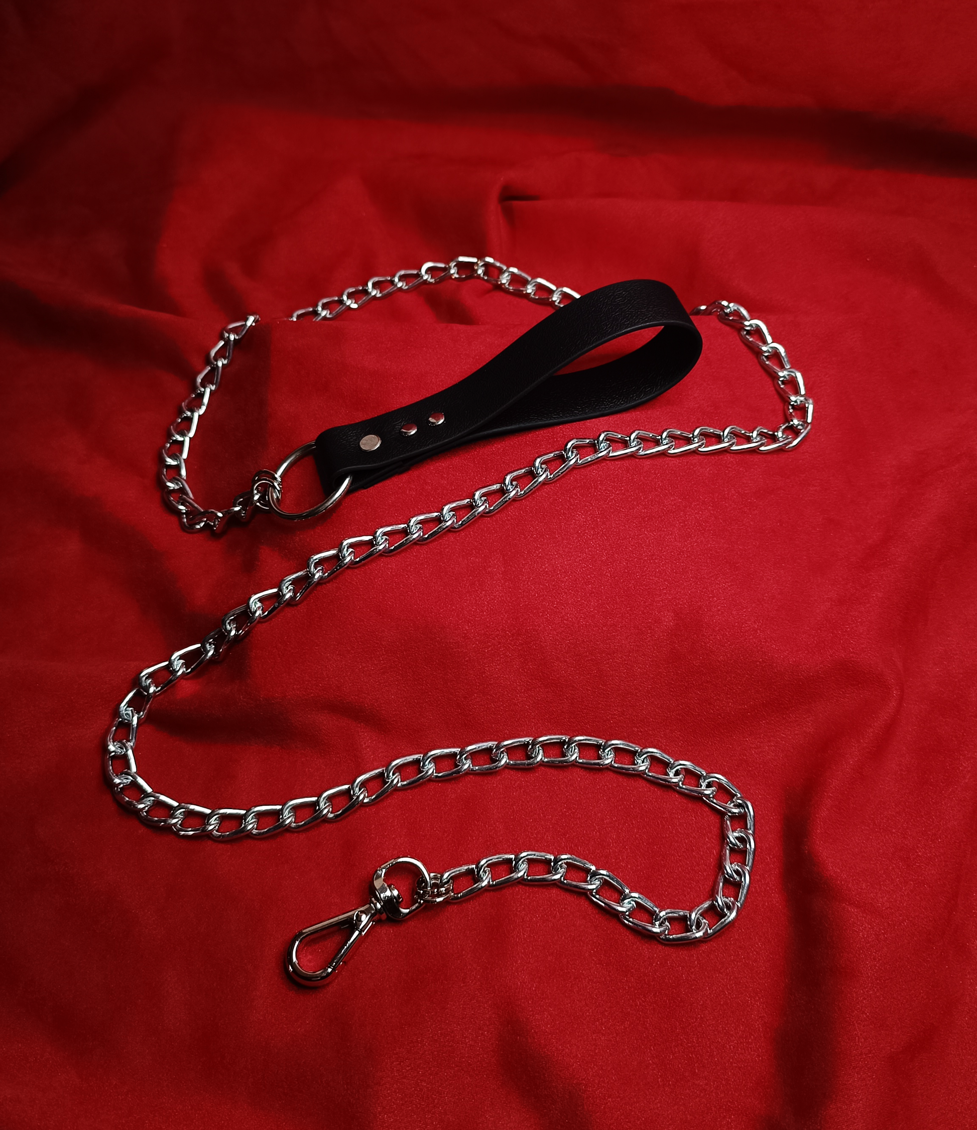 Foreverbound leash
